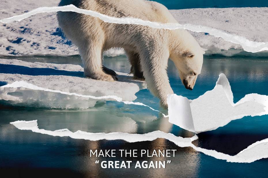 tarjeta la polar online