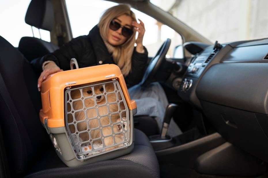 accesorios para transportar perros en auto