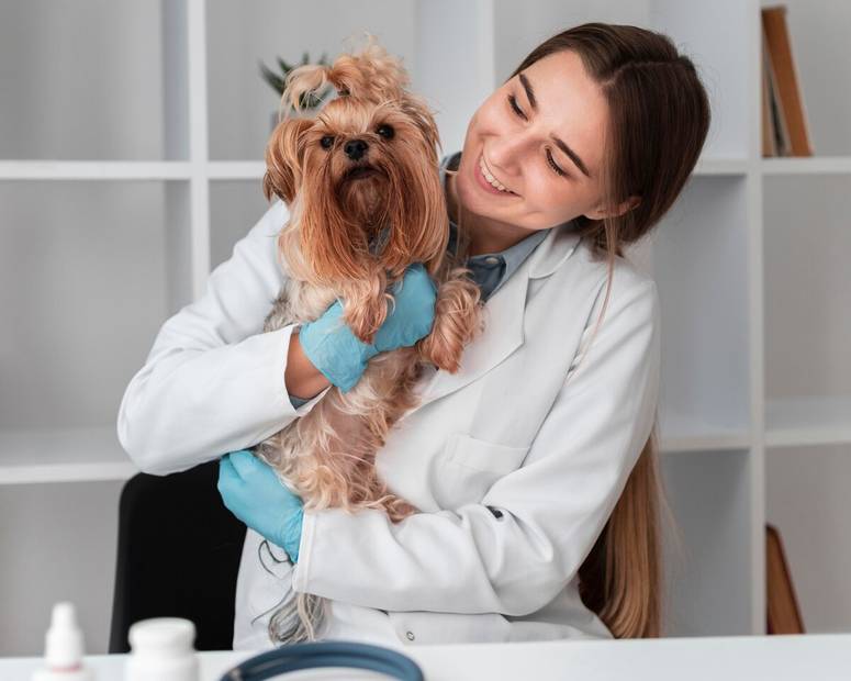 auxiliar de veterinario